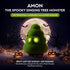 AMON - The Ultimate Gift of Sound & Joy - Where Every Celebration Finds Its Voice! - WinBridge