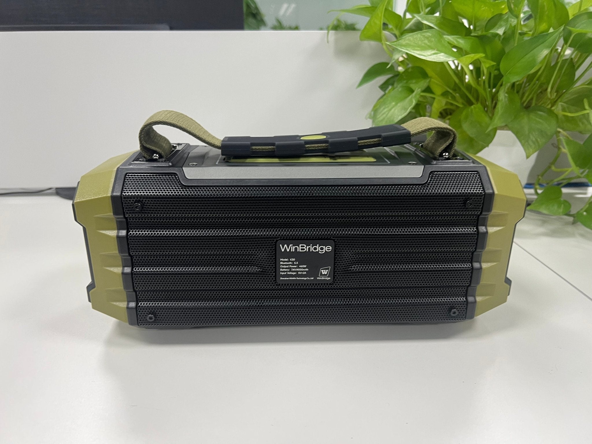 K30 Portable speaker with Wireless microphone for camping and outdoor activity - WinBridge