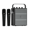 PORTABLE PA SYSTEMS - WinBridge