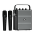 PORTABLE PA SYSTEMS - WinBridge