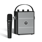 PORTABLE PA SYSTEMS - WinBridge