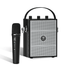 PORTABLE PA SYSTEMS - WinBridge