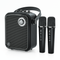 PORTABLE PA SYSTEMS - WinBridge
