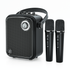 PORTABLE PA SYSTEMS - WinBridge