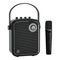 PORTABLE PA SYSTEMS - WinBridge