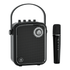 PORTABLE PA SYSTEMS - WinBridge
