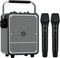 WinBridge S200 150W Powerful Portable Speaker with 2 Wireless Microphones, Premium Sound Karaoke Machine with Singing Mics, Voice Amplifier PA System Bluetooth Speaker Support BT/USB/TF Card/Aux, Guitar Amp - WinBridge
