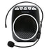 WIRED VOICE AMPLIFIERS - WinBridge