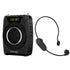 WIRELESS VOICE AMPLIFIERS - WinBridge